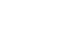 MainSprings