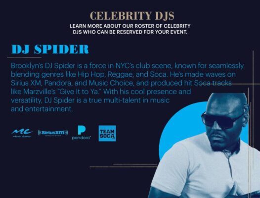 DJ-Spider-banner-mobile3